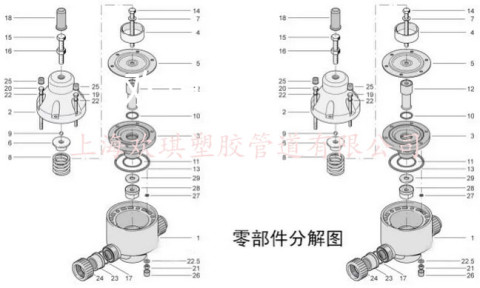 PP背壓閥分解圖